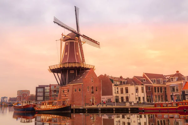 Landschaft mit der Windmühle, Haarlem, Niederlande — Stockfoto