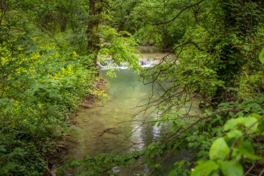 Bahar manzarası, Kruşuna şelaleleri, Bulgaristan