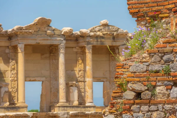 Efeze Efes Turkije Gedecentreerd Celsus Bibliotheek Oude Ruïnes Met Lentebloemen — Stockfoto