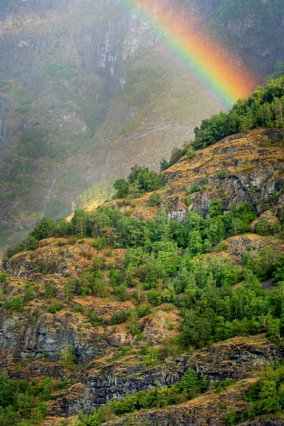 Весна в горах Норвегії влітку. — стокове фото