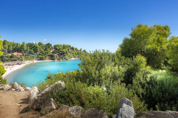 Summer Vacation Background Turquoise Sea Water Bay Pine Trees Halkidiki — Stockfoto