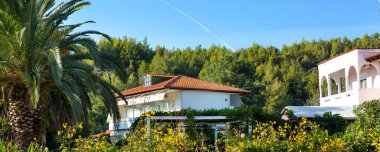 Summer house and palm trees, Greece, Halkidiki