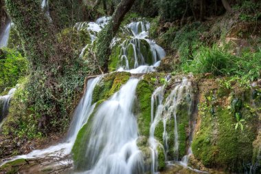 Ormanda yeşil yosunlu şelale