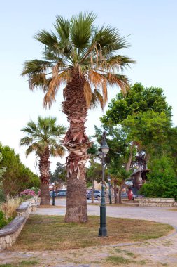 Nea Potidea, Yunanistan - 10 Haziran 2018: Halkidiki, Kassandra yarımadasındaki Nea Poteidea 'da palmiye ağaçları ve sokak manzarası