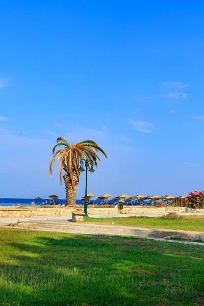 Nea Poteidaia Griechenland Juni 2018 Palme Sandstrand Meer Und Blauer — Stockfoto