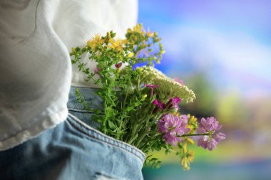 Kot pantolonun ön cebinde güzel narin çiçekler, yakın plan, yaz aşkı romantik konsepti.