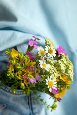 Kot pantolonun ön cebinde güzel narin çiçekler, yakın plan, yaz aşkı romantik konsepti.