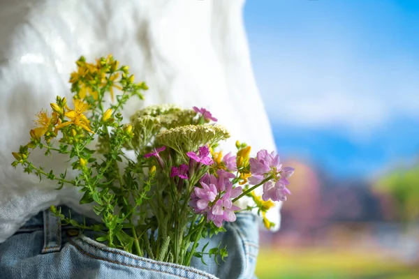 Beautiful Tender Flowers Front Pocket Jeans Outdoors Close Summer Love — Stock Photo, Image