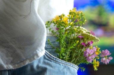 Kot pantolonun ön cebinde güzel narin çiçekler, yakın plan, yaz aşkı romantik konsepti.