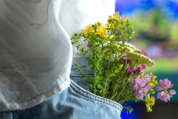 Kot pantolonun ön cebinde güzel narin çiçekler, yakın plan, yaz aşkı romantik konsepti.