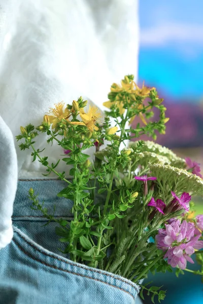 Hermosas Flores Tiernas Bolsillo Delantero Jeans Aire Libre Primer Plano — Foto de Stock
