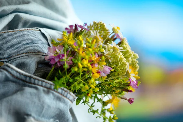 Kot pantolonun ön cebinde güzel narin çiçekler, yakın plan, yaz aşkı romantik konsepti.