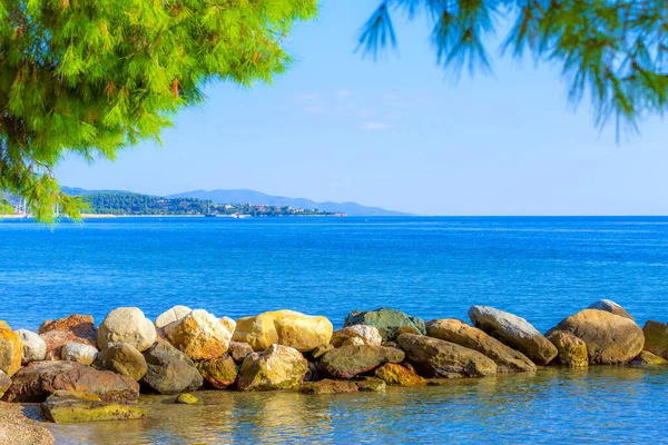 Fondo Viaje Vacaciones Verano Con Rama Pino Verde Puerto Deportivo —  Fotos de Stock