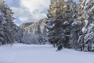 Bansko, Bulgaria - February 3, 2022: Bulgarian winter ski resort panorama, man driving snowmobile on the ski road snowy forest