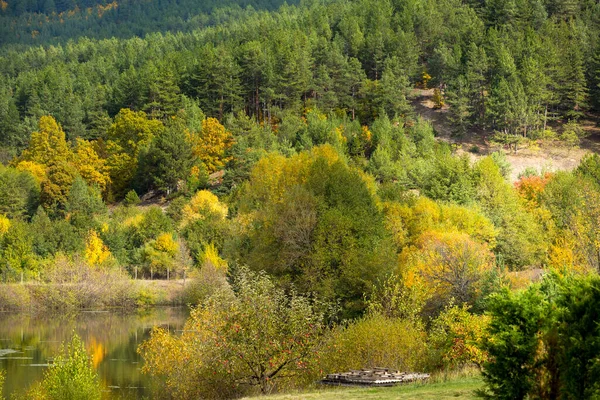 Golden Magic Autumn Forest Colorful Fall Trees Romantic Lake Landscape — Stockfoto