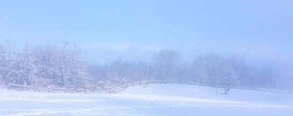 Picos Montanhas Rila Cobertos Neve Dia Nebuloso Inverno Bansko Bulgária — Fotografia de Stock