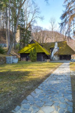 Bran, Romanya Casa de ceai evi bacası ve çatısı yeşil yosunlu. Tepedeki Bran Kalesi