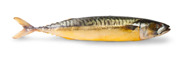 The Smoked Mackerel — Stock Photo, Image