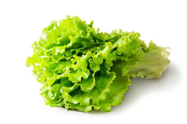 Fresh Green Lettuce — Stock Photo, Image