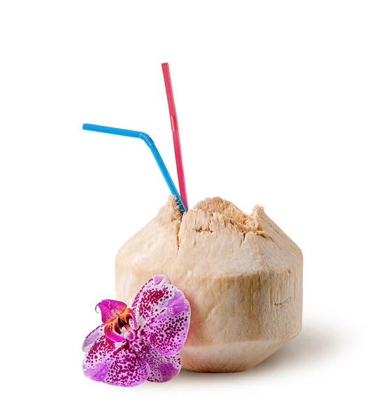 Bebida fresca de agua de coco con flor de orquídea cerca —  Fotos de Stock