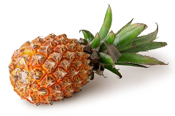 Einzelne Ananas liegt isoliert auf einer weißen — Stockfoto
