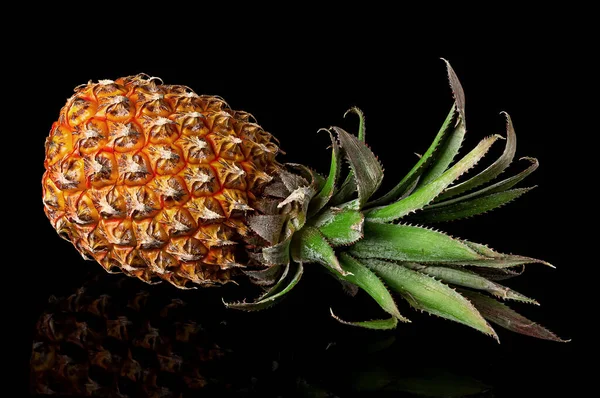 Jeden celý ananas s odrazem leží izolovaný na černém — Stock fotografie