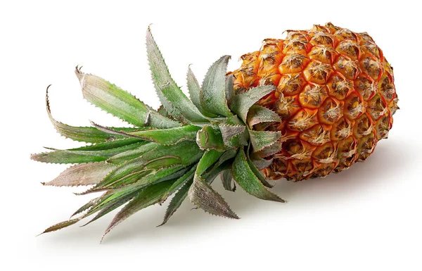 Einzelne Ananas Liegt Isoliert Auf Weißem Hintergrund — Stockfoto