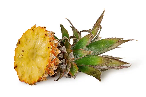 Top Ananas Con Foglie Verdi Isolate Sfondo Bianco — Foto Stock