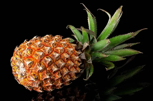 Ananas Intero Singolo Con Riflessione Giace Ruotato Isolato Sfondo Nero — Foto Stock