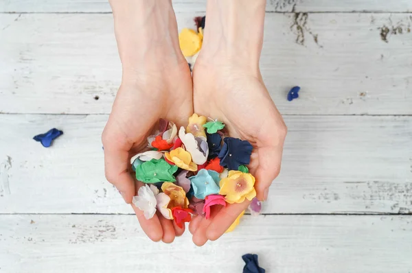 Blumen in Frauenhänden — Stockfoto