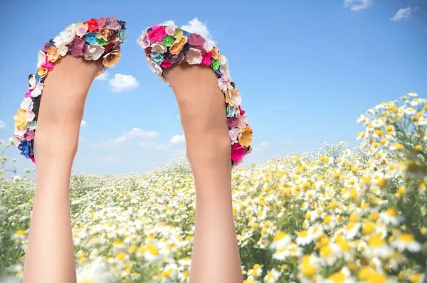 Sexy mujer piernas en zapatos divertidos en el cielo azul y fondo de campo de flores Imágenes de stock libres de derechos