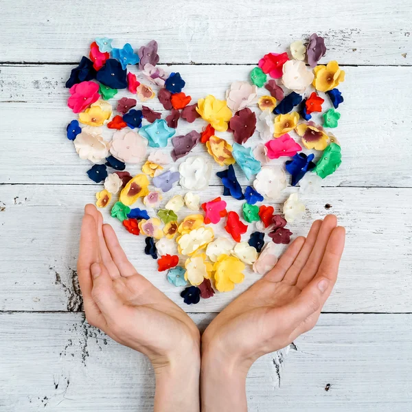 Çiçek kalp ve kadının elleri — Stok fotoğraf