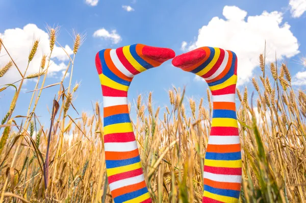 Patas femeninas en el cielo y el campo —  Fotos de Stock