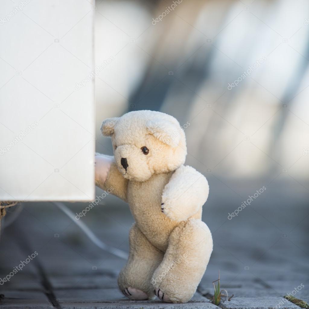 lost teddy bear