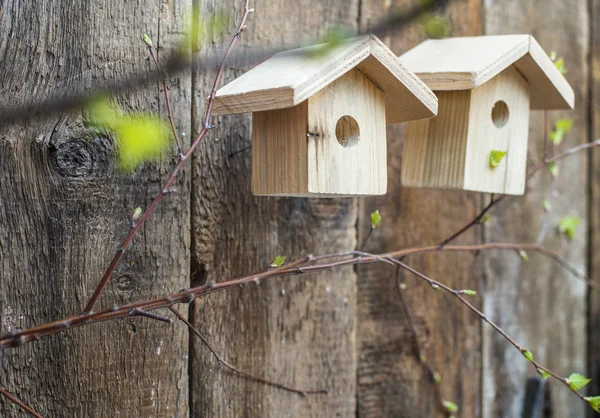 Maisons d'oiseaux — Photo