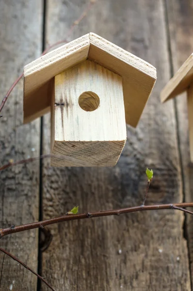 鳥の家 — ストック写真