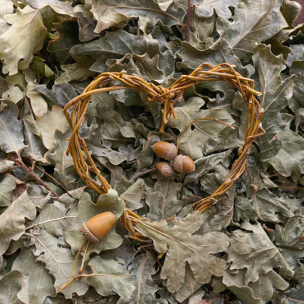 Метла из сухих дубовых ветвей — стоковое фото