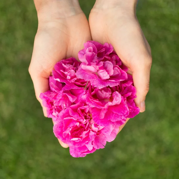 Mãos com flores — Fotografia de Stock