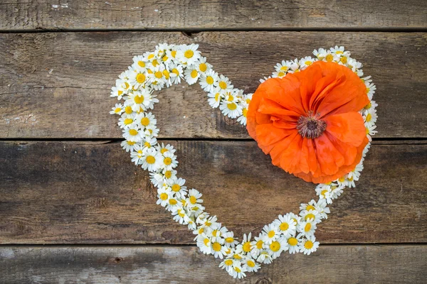 Blumenherz — Stockfoto