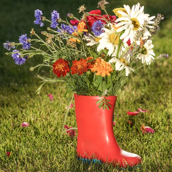 Καλοκαίρι λουλούδια στο κόκκινο μπότες — Φωτογραφία Αρχείου