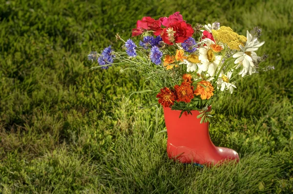 Sommerblumen in roten Stiefeln — Stockfoto
