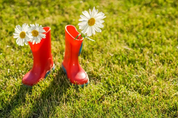 Bunga musim panas dalam sepatu bot merah — Stok Foto