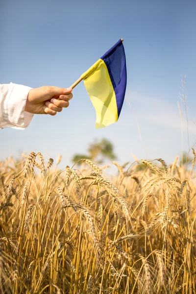 Ukraine — Stock Photo, Image