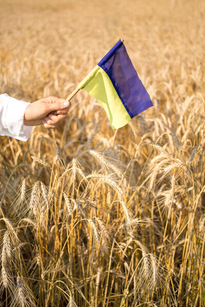 Флаг Украины