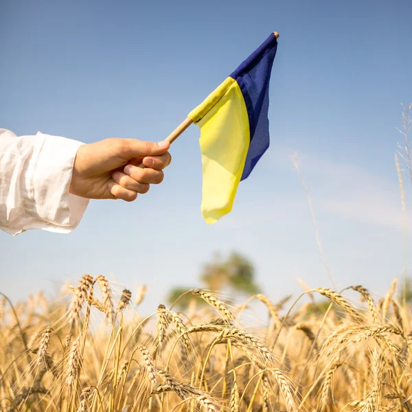 Hand med ukrainska flagga ストックフォト