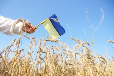 Ukraynalı vatansever bayrakla işaretle