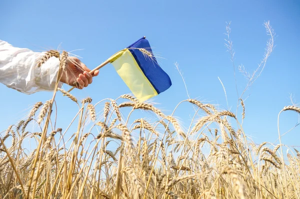 Oekraïense patriot met een vlag — Stockfoto