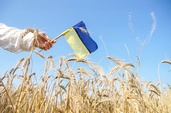 Patriota ucraniano con bandera Imagen de archivo