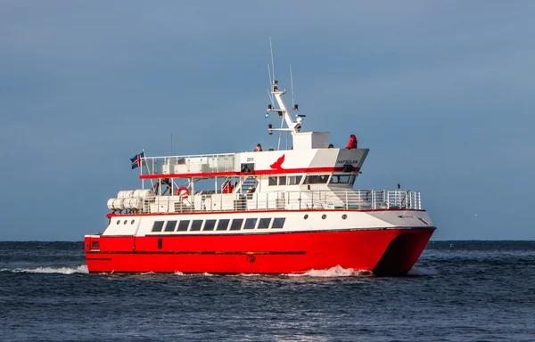 Walbeobachtungsboot — Stockfoto