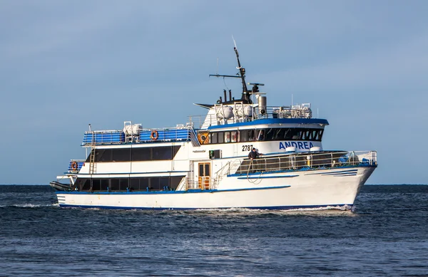 Walbeobachtungsboot — Stockfoto